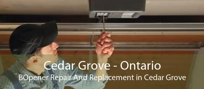 Cedar Grove - Ontario BOpener Repair And Replacement in Cedar Grove