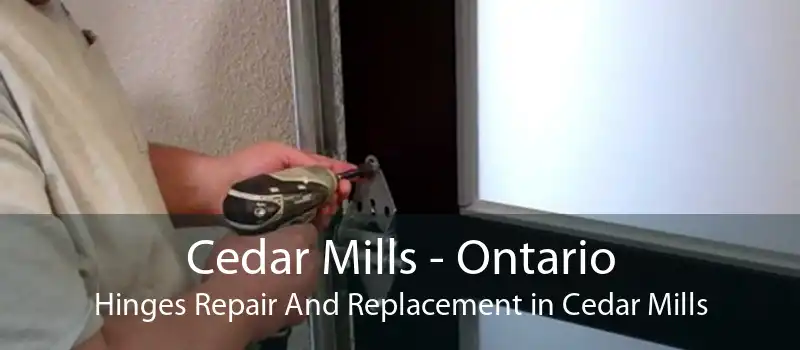 Cedar Mills - Ontario Hinges Repair And Replacement in Cedar Mills