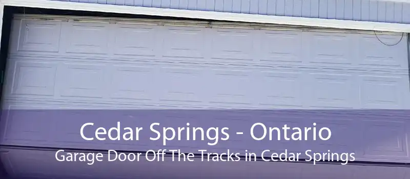 Cedar Springs - Ontario Garage Door Off The Tracks in Cedar Springs