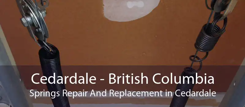 Cedardale - British Columbia Springs Repair And Replacement in Cedardale