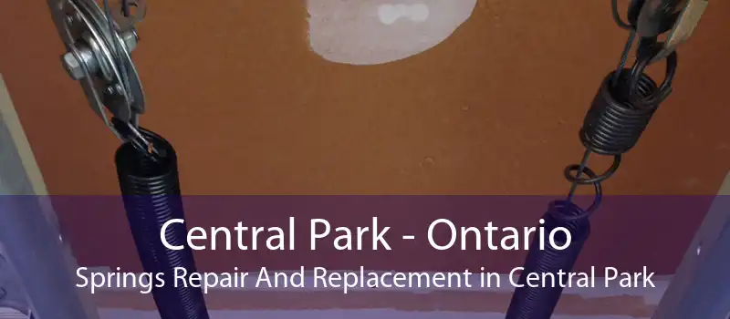 Central Park - Ontario Springs Repair And Replacement in Central Park