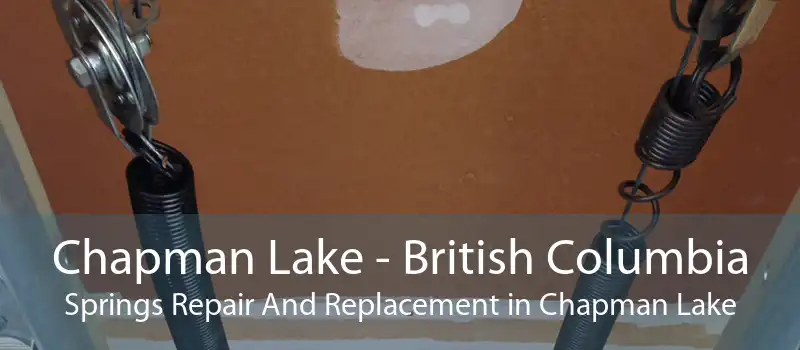 Chapman Lake - British Columbia Springs Repair And Replacement in Chapman Lake