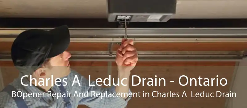 Charles A  Leduc Drain - Ontario BOpener Repair And Replacement in Charles A  Leduc Drain