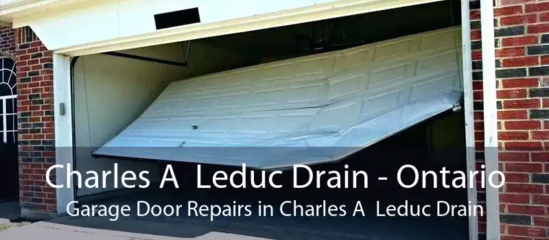 Charles A  Leduc Drain - Ontario Garage Door Repairs in Charles A  Leduc Drain
