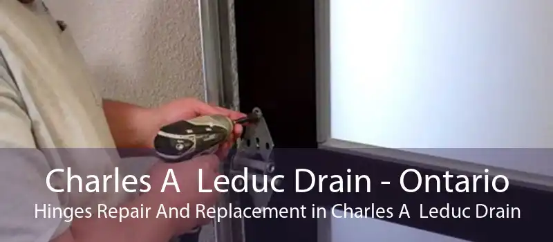 Charles A  Leduc Drain - Ontario Hinges Repair And Replacement in Charles A  Leduc Drain
