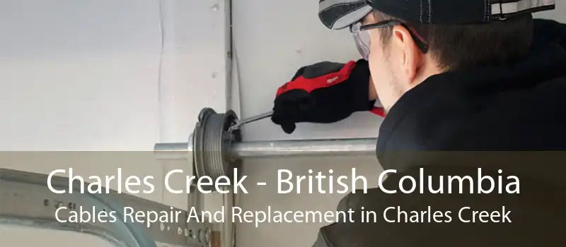 Charles Creek - British Columbia Cables Repair And Replacement in Charles Creek