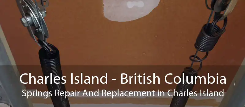 Charles Island - British Columbia Springs Repair And Replacement in Charles Island