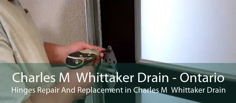 Charles M  Whittaker Drain - Ontario Hinges Repair And Replacement in Charles M  Whittaker Drain