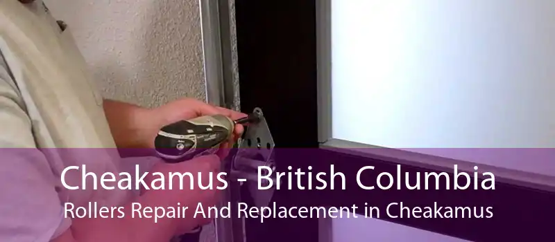 Cheakamus - British Columbia Rollers Repair And Replacement in Cheakamus