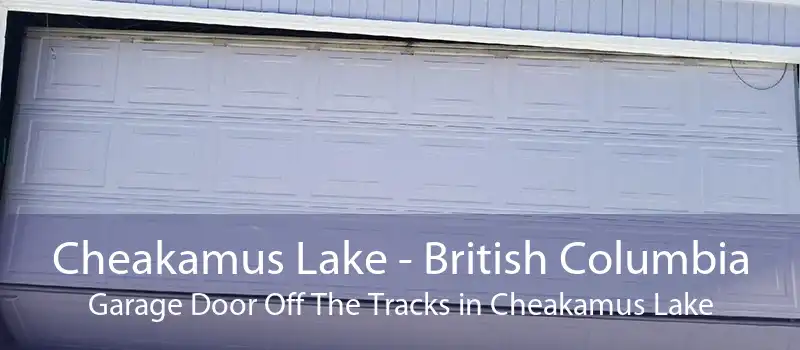 Cheakamus Lake - British Columbia Garage Door Off The Tracks in Cheakamus Lake