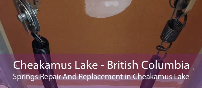 Cheakamus Lake - British Columbia Springs Repair And Replacement in Cheakamus Lake