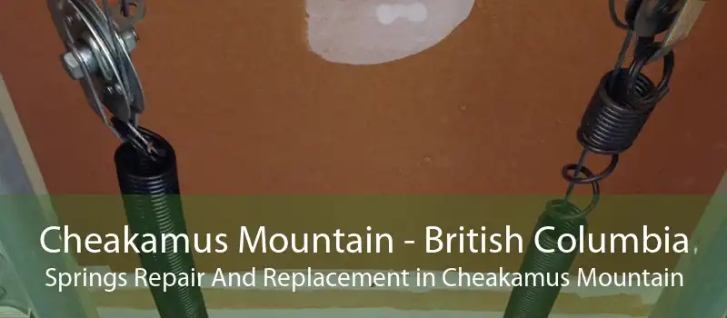 Cheakamus Mountain - British Columbia Springs Repair And Replacement in Cheakamus Mountain