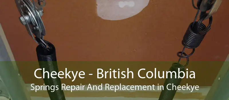 Cheekye - British Columbia Springs Repair And Replacement in Cheekye