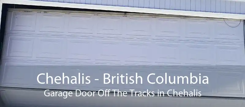 Chehalis - British Columbia Garage Door Off The Tracks in Chehalis