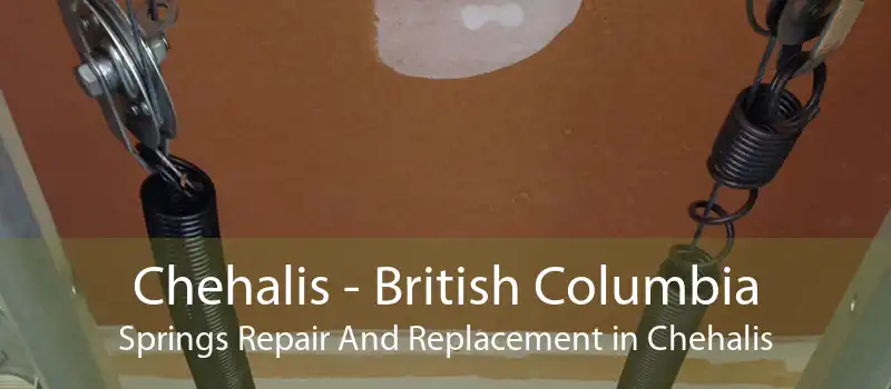 Chehalis - British Columbia Springs Repair And Replacement in Chehalis