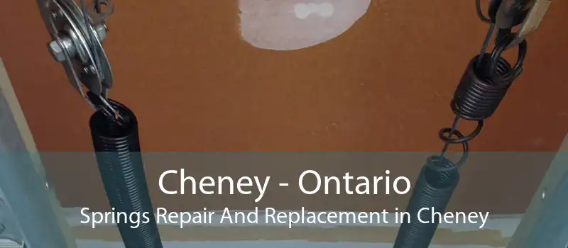 Cheney - Ontario Springs Repair And Replacement in Cheney