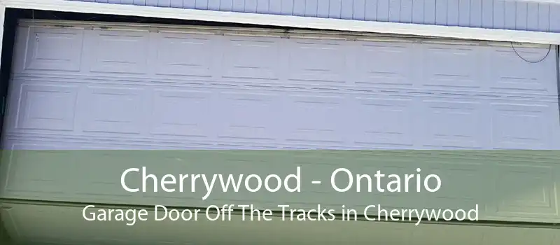 Cherrywood - Ontario Garage Door Off The Tracks in Cherrywood