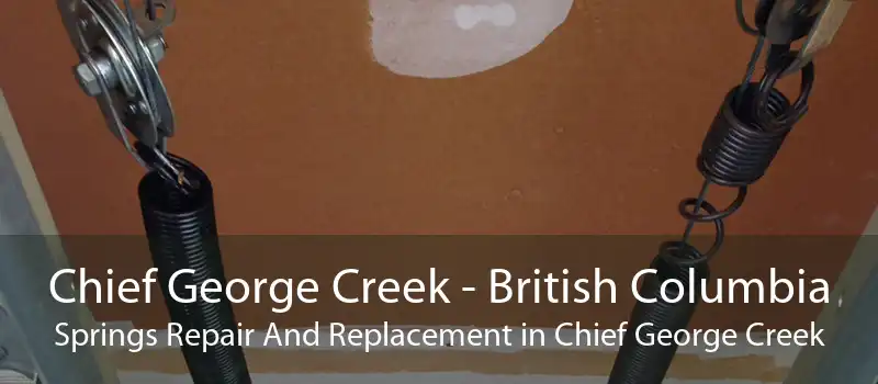 Chief George Creek - British Columbia Springs Repair And Replacement in Chief George Creek