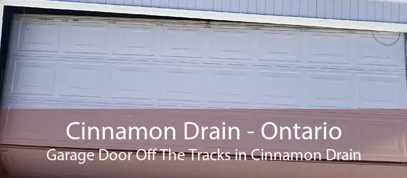 Cinnamon Drain - Ontario Garage Door Off The Tracks in Cinnamon Drain