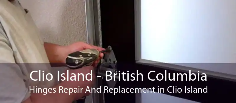 Clio Island - British Columbia Hinges Repair And Replacement in Clio Island
