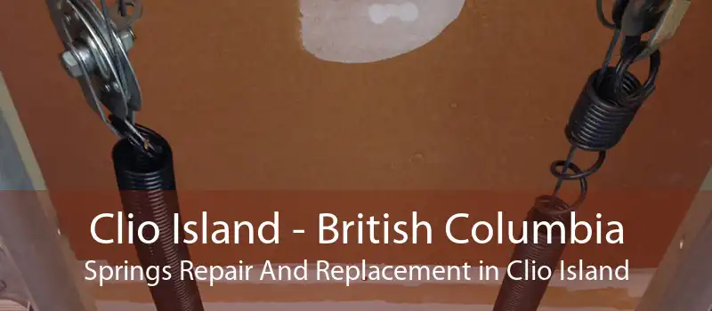 Clio Island - British Columbia Springs Repair And Replacement in Clio Island