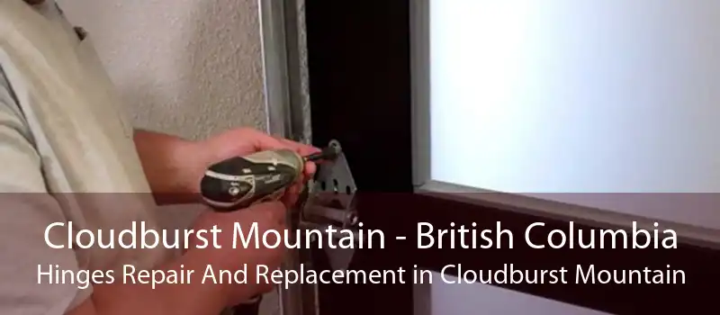 Cloudburst Mountain - British Columbia Hinges Repair And Replacement in Cloudburst Mountain