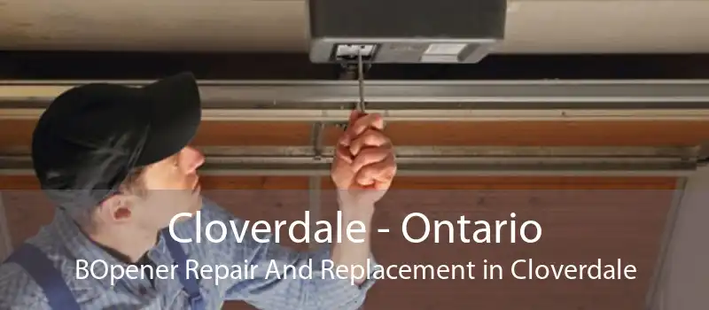 Cloverdale - Ontario BOpener Repair And Replacement in Cloverdale
