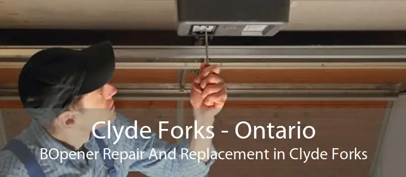 Clyde Forks - Ontario BOpener Repair And Replacement in Clyde Forks