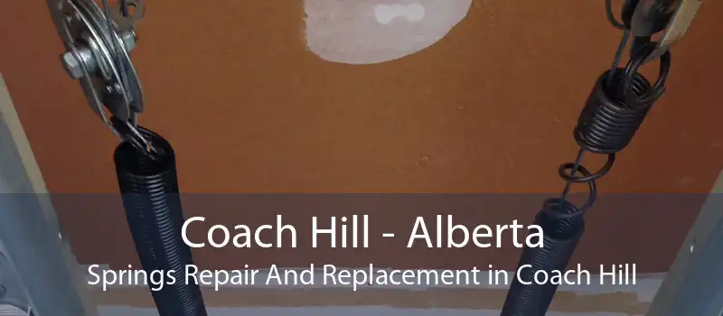Coach Hill - Alberta Springs Repair And Replacement in Coach Hill