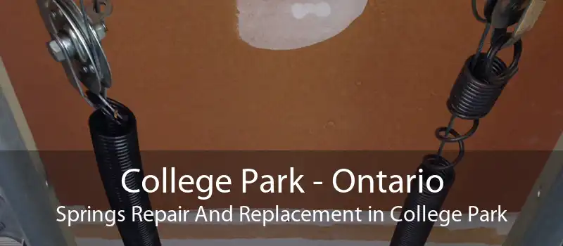 College Park - Ontario Springs Repair And Replacement in College Park