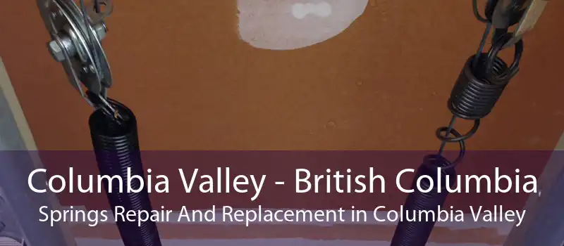 Columbia Valley - British Columbia Springs Repair And Replacement in Columbia Valley