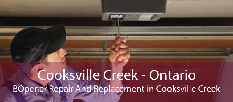 Cooksville Creek - Ontario BOpener Repair And Replacement in Cooksville Creek