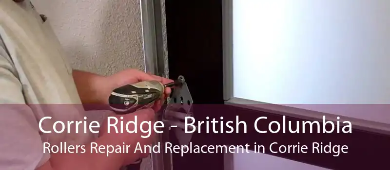 Corrie Ridge - British Columbia Rollers Repair And Replacement in Corrie Ridge