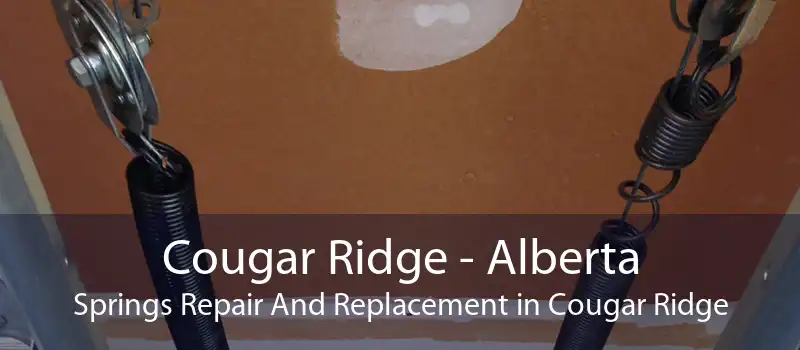 Cougar Ridge - Alberta Springs Repair And Replacement in Cougar Ridge