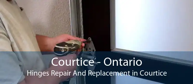 Courtice - Ontario Hinges Repair And Replacement in Courtice