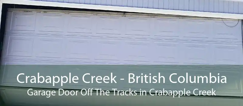 Crabapple Creek - British Columbia Garage Door Off The Tracks in Crabapple Creek