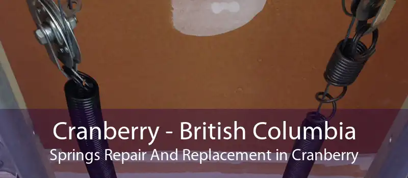 Cranberry - British Columbia Springs Repair And Replacement in Cranberry