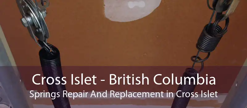 Cross Islet - British Columbia Springs Repair And Replacement in Cross Islet