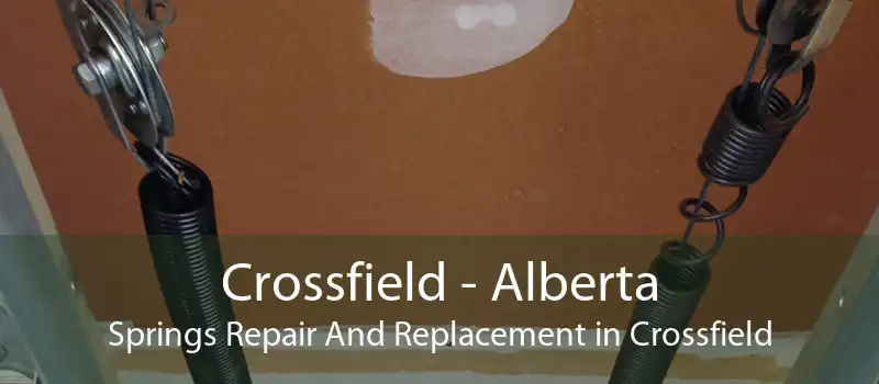Crossfield - Alberta Springs Repair And Replacement in Crossfield