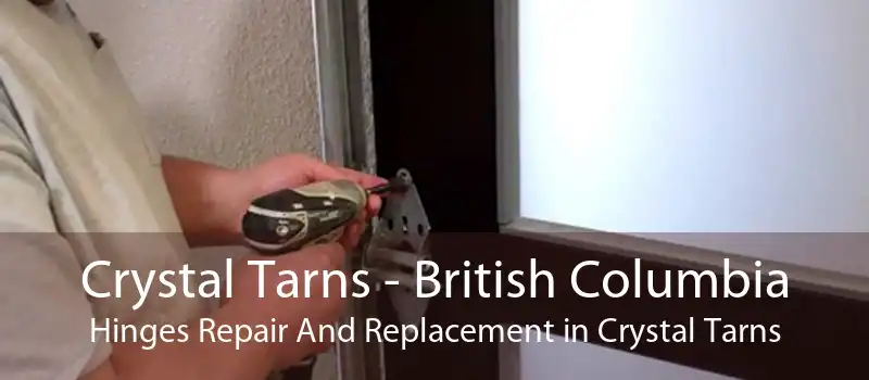 Crystal Tarns - British Columbia Hinges Repair And Replacement in Crystal Tarns