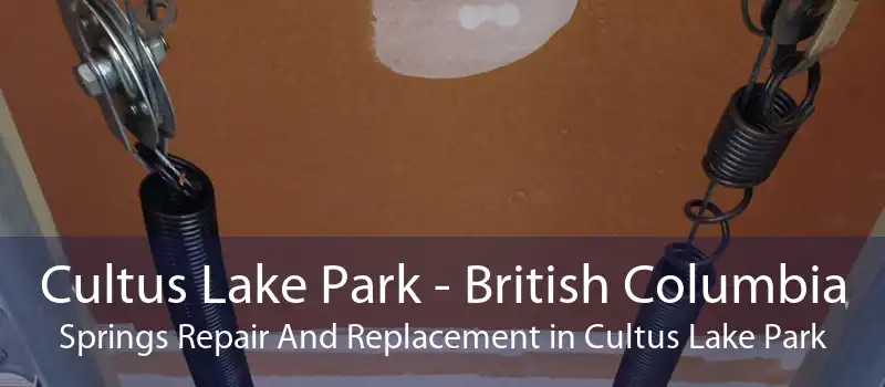 Cultus Lake Park - British Columbia Springs Repair And Replacement in Cultus Lake Park