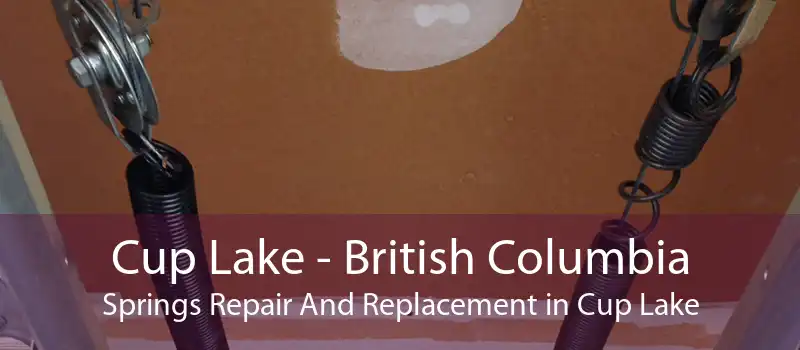 Cup Lake - British Columbia Springs Repair And Replacement in Cup Lake