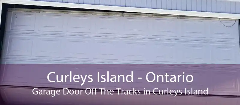 Curleys Island - Ontario Garage Door Off The Tracks in Curleys Island