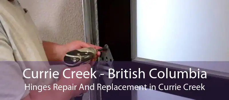 Currie Creek - British Columbia Hinges Repair And Replacement in Currie Creek
