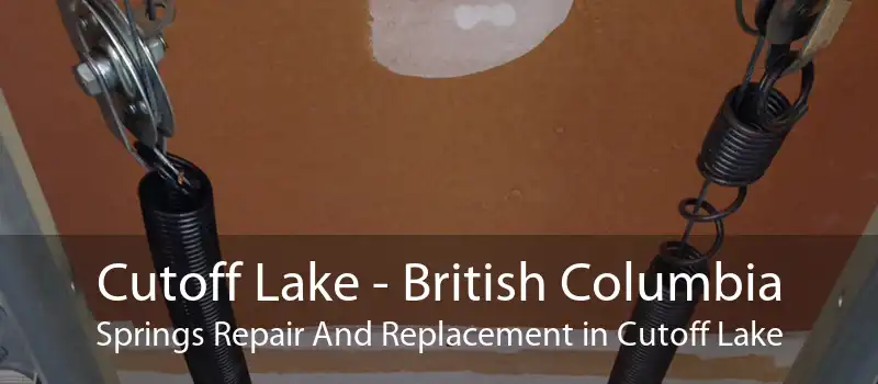 Cutoff Lake - British Columbia Springs Repair And Replacement in Cutoff Lake