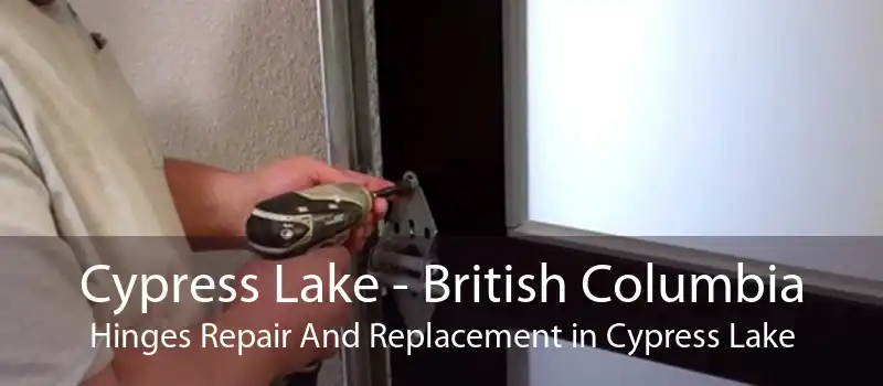 Cypress Lake - British Columbia Hinges Repair And Replacement in Cypress Lake