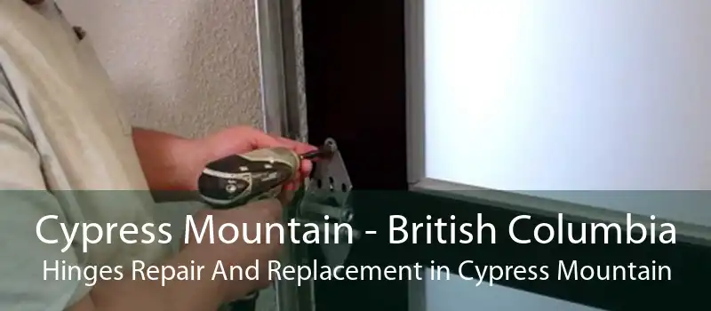 Cypress Mountain - British Columbia Hinges Repair And Replacement in Cypress Mountain