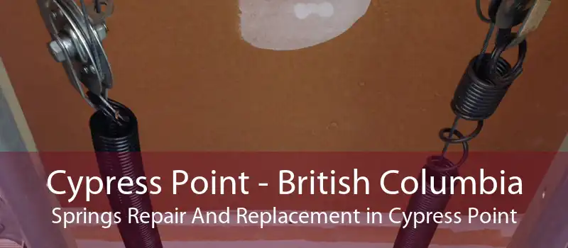Cypress Point - British Columbia Springs Repair And Replacement in Cypress Point