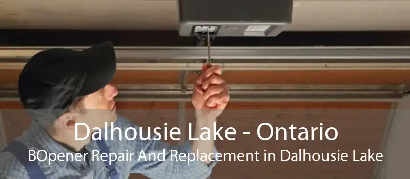Dalhousie Lake - Ontario BOpener Repair And Replacement in Dalhousie Lake