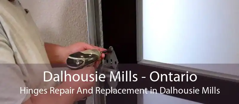 Dalhousie Mills - Ontario Hinges Repair And Replacement in Dalhousie Mills